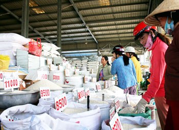 Summer-autumn rice prices hit record high in 20 years (Photo: SGGP) Summer-autumn rice prices hit record high in 20 years (Photo: SGGP)